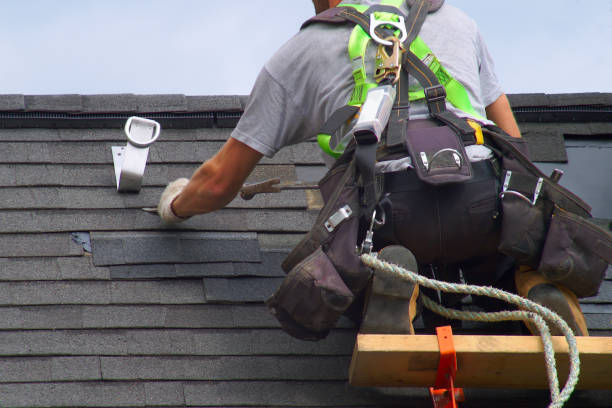 Best Metal Roofing Contractor  in Payson, IL